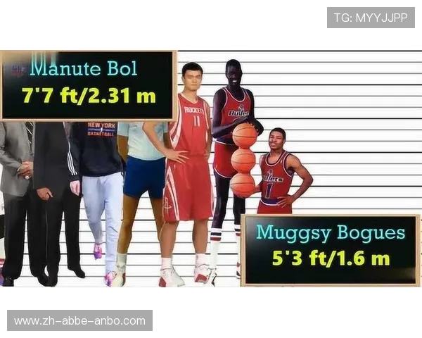 NBA历史上最高球员名单及身高数据 NBA历史上最高球员名单及身高数据