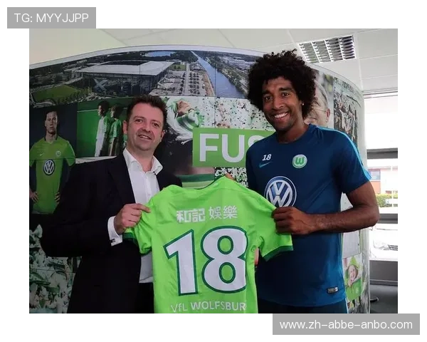 德甲球队主要金主名单及投资背景