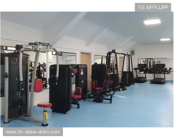 民用健身器材品牌推荐及性能对比分析