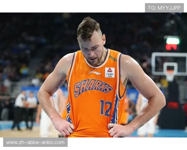 火箭队莫泰尤纳斯个人资料与职业表现