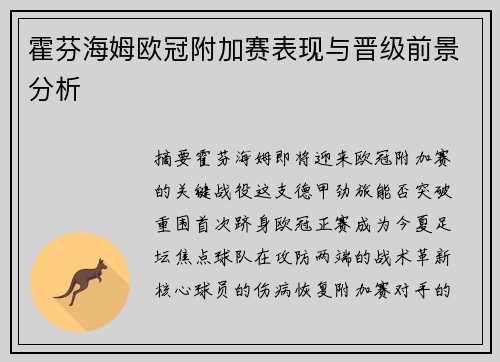 霍芬海姆欧冠附加赛表现与晋级前景分析